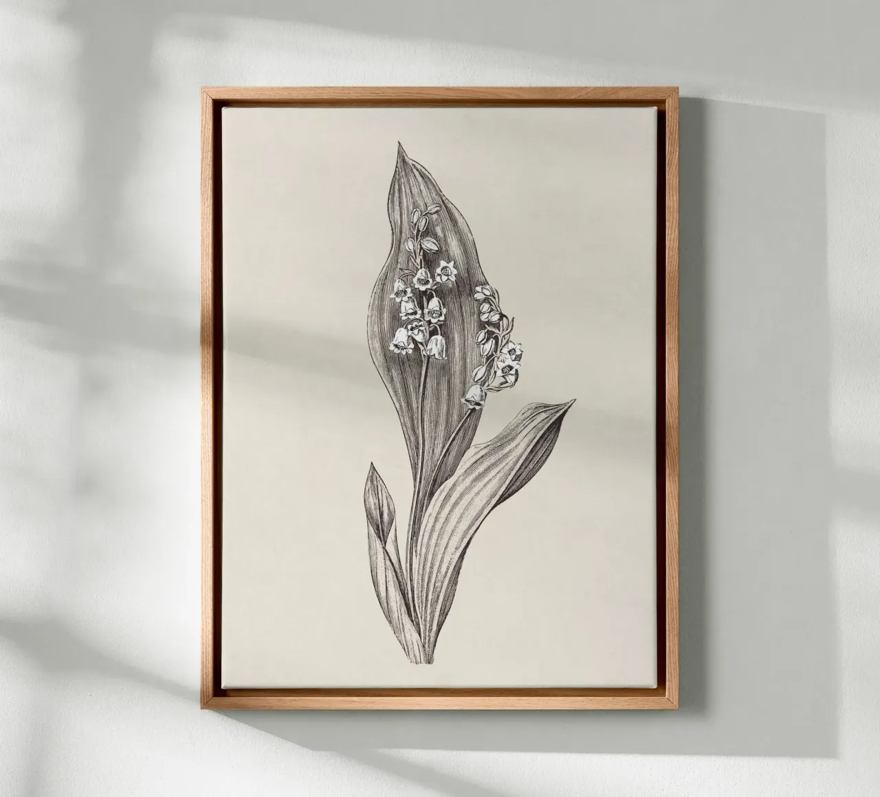 Lily of the valley no. 1 canvas met Baklijst van apoloprints