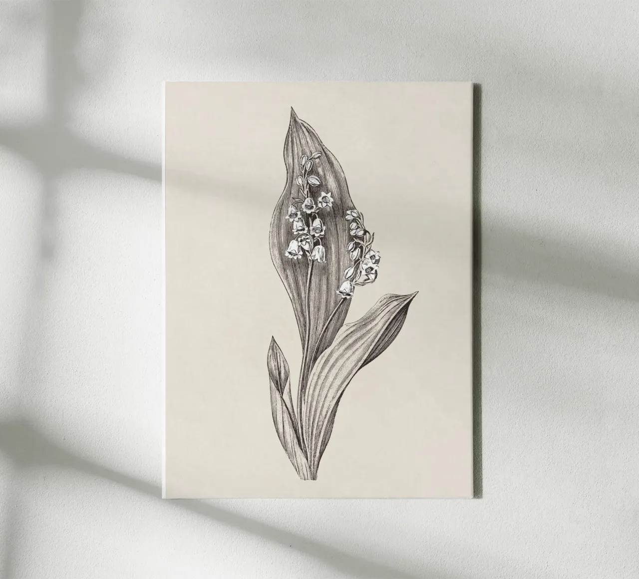 Lily of the valley no. 1 canvas met Baklijst van apoloprints