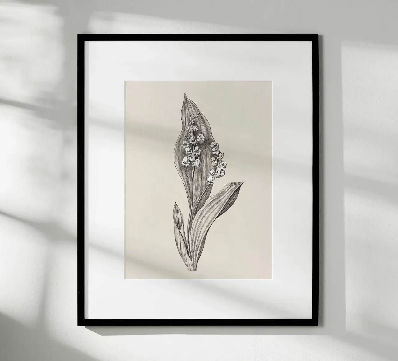 Lily of the valley no. 1 carta hahnemühle da apoloprints