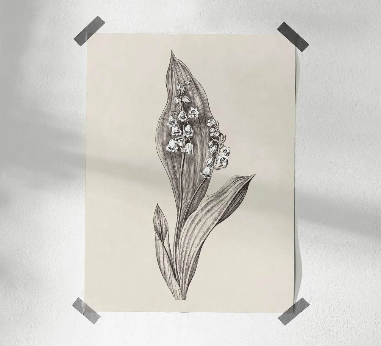 Lily of the valley no. 1 carta hahnemühle da apoloprints