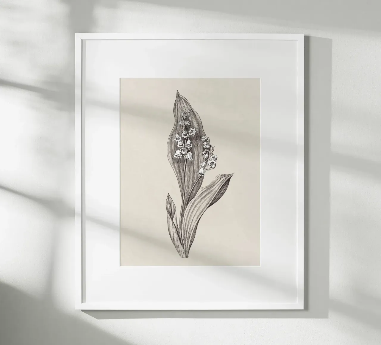 Lily of the valley no. 1 carta hahnemühle da apoloprints