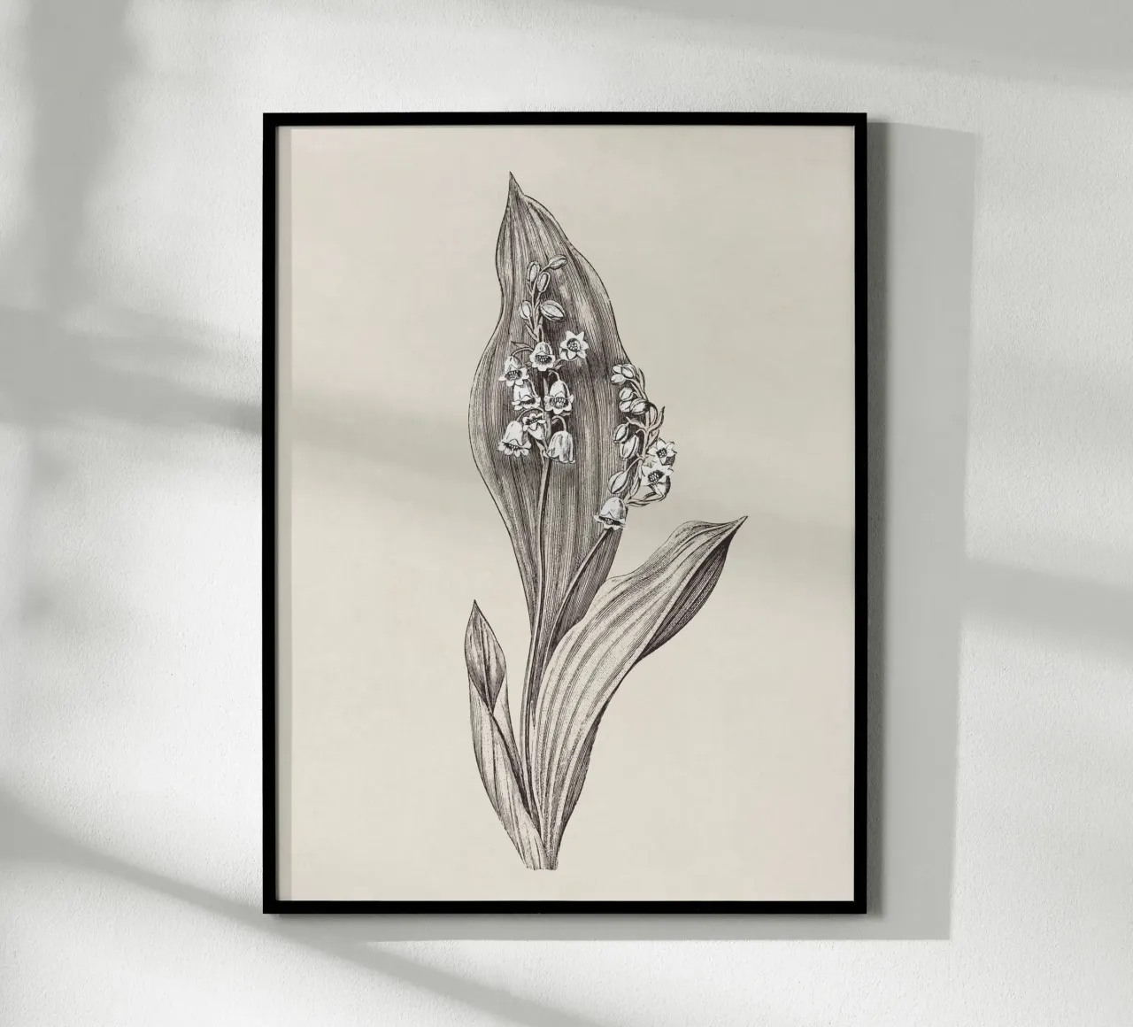 Lily of the valley no. 1 carta hahnemühle da apoloprints