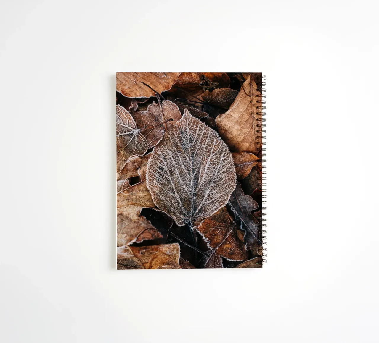 Feuilles d'automne à la structure givrée, photographie de nature en hiver carnet à spirale de Bold and Retro