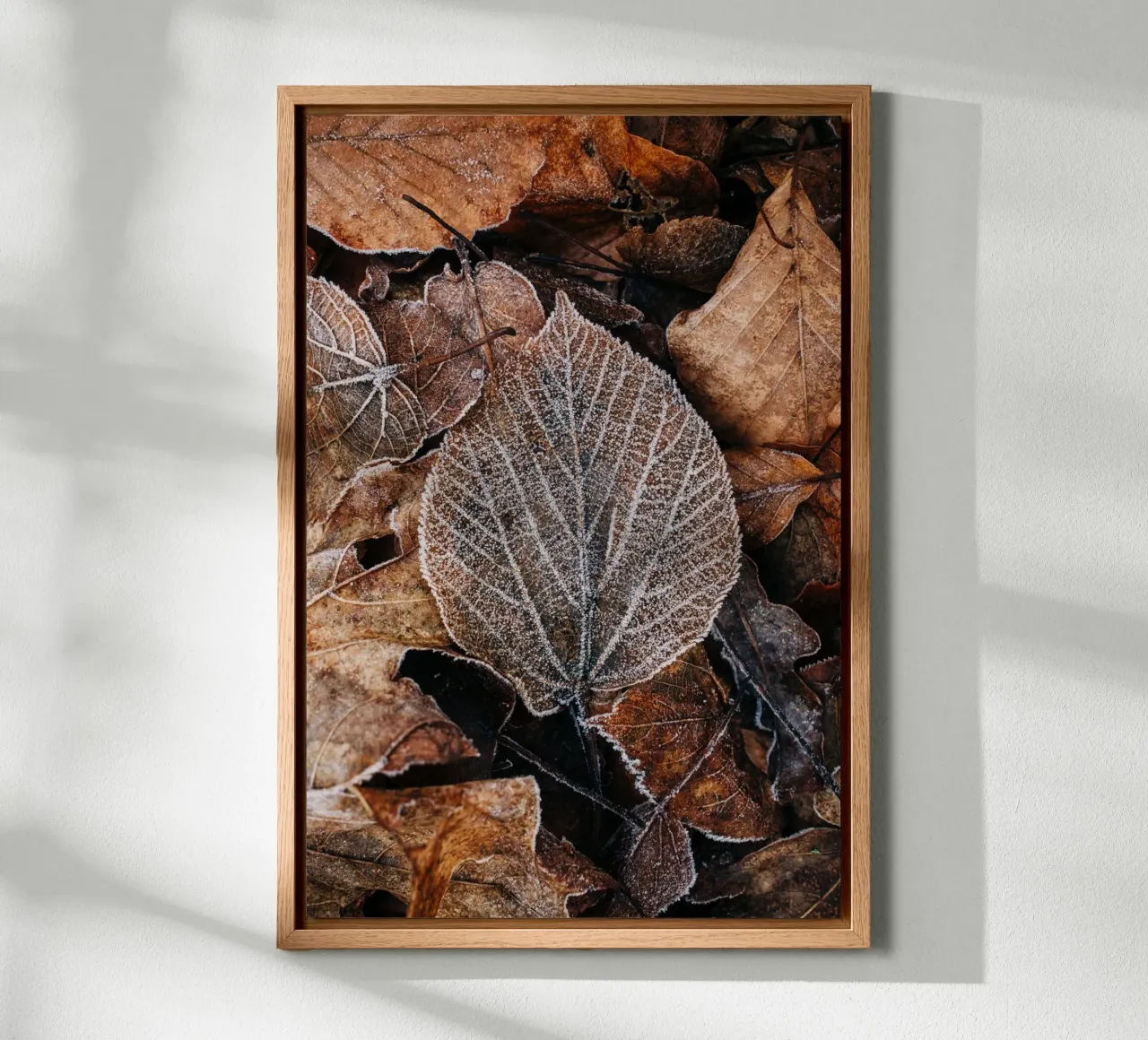 Hojas de otoño con textura helada, fotografía de naturaleza invernal lienzo de Bold and Retro