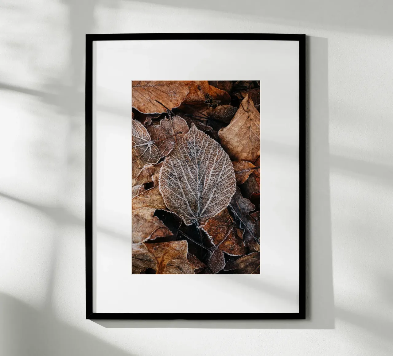 Feuilles d'automne à la structure givrée, photographie de nature en hiver hahnemühle de Bold and Retro
