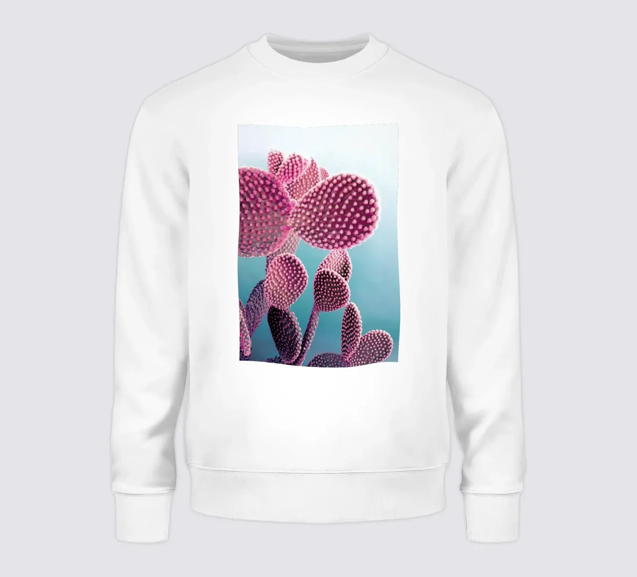 Cactus felpa da cafelab
