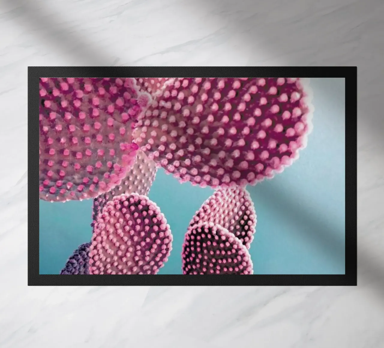 Cactus zerbino da cafelab