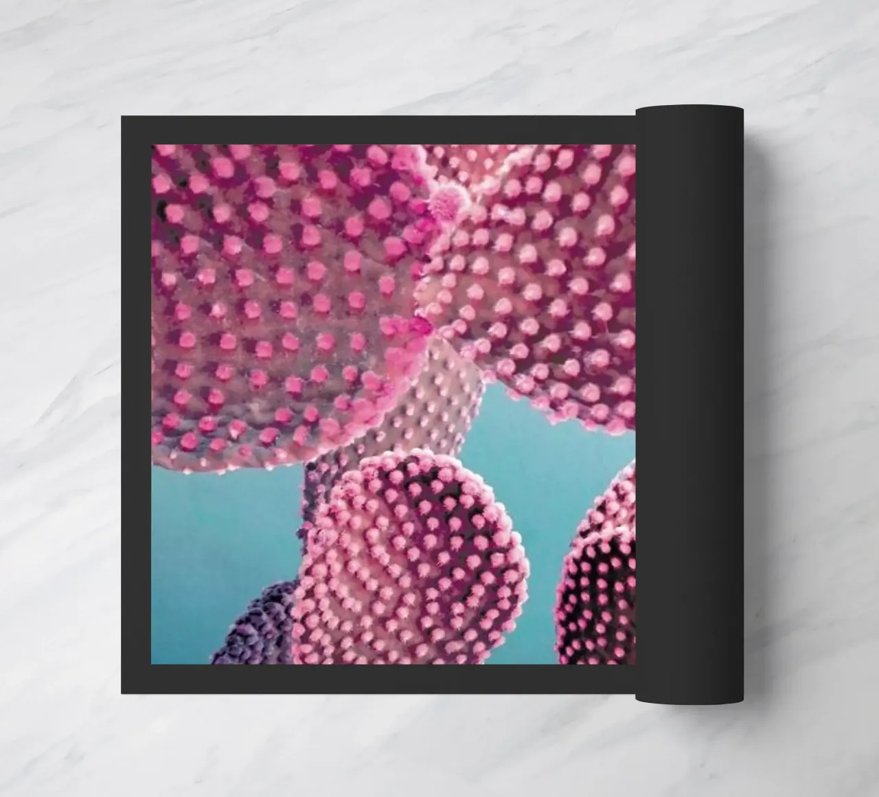 Cactus zerbino da cafelab