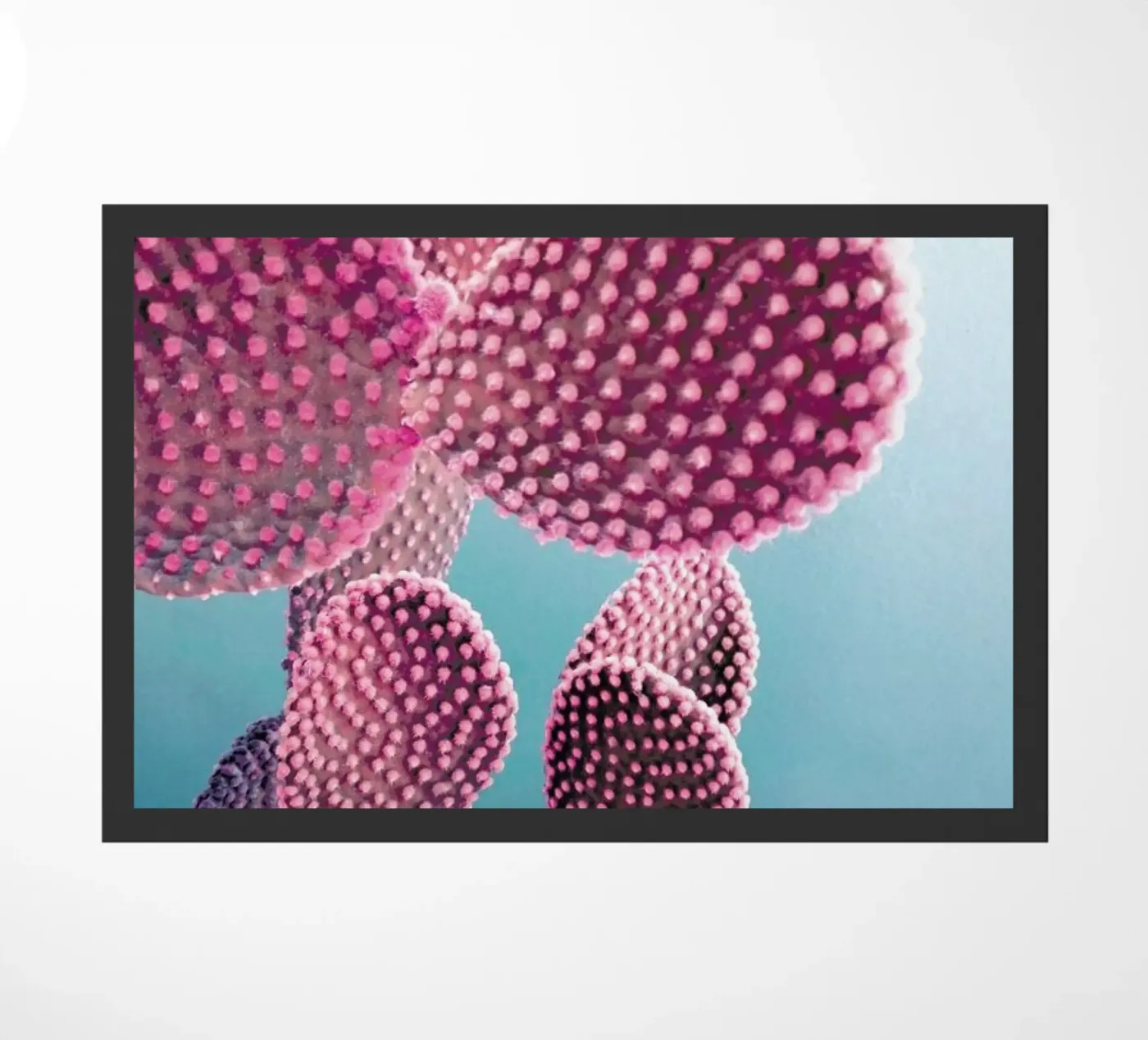 Cactus deurmat van cafelab