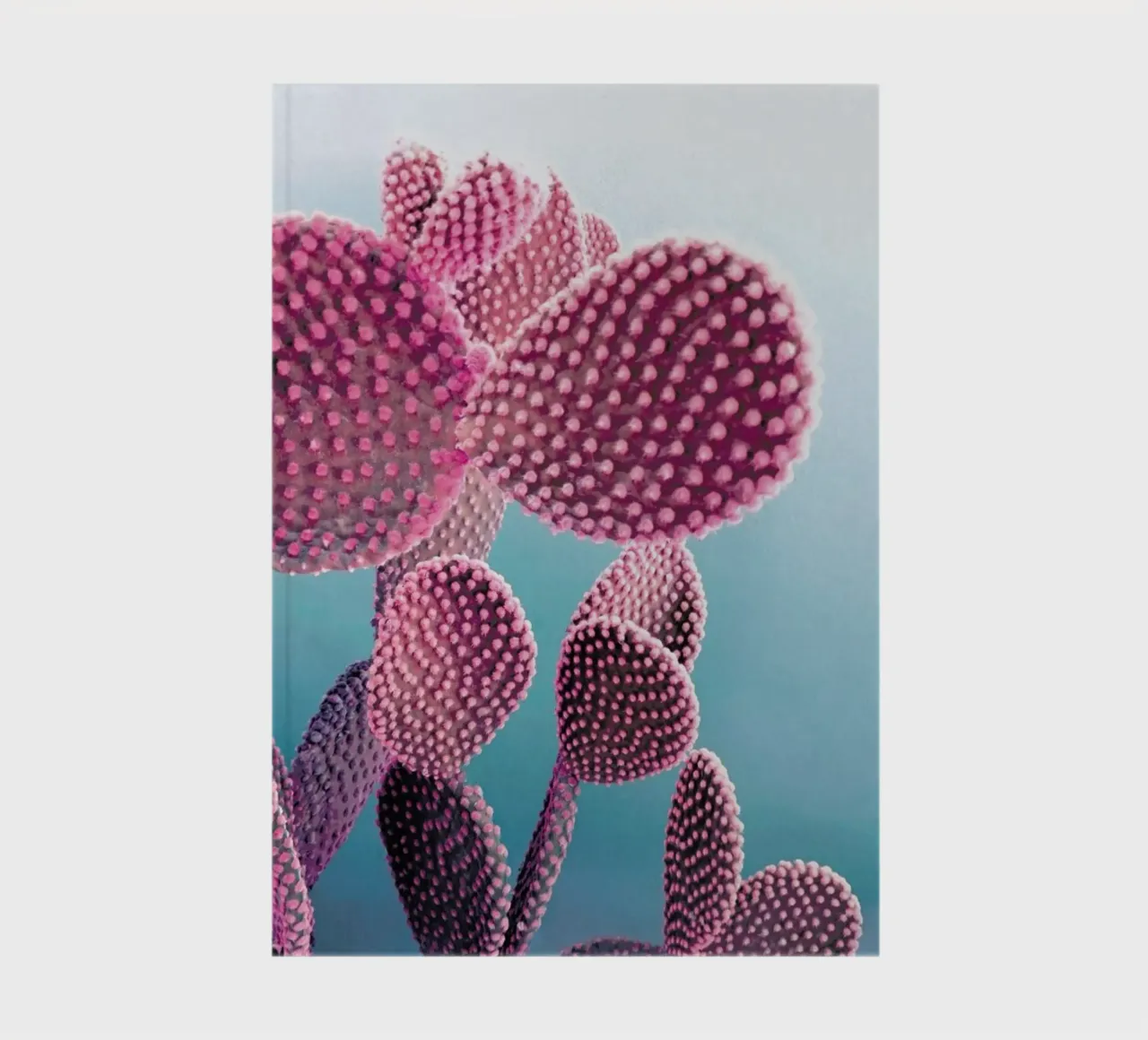 Cactus notebook by cafelab