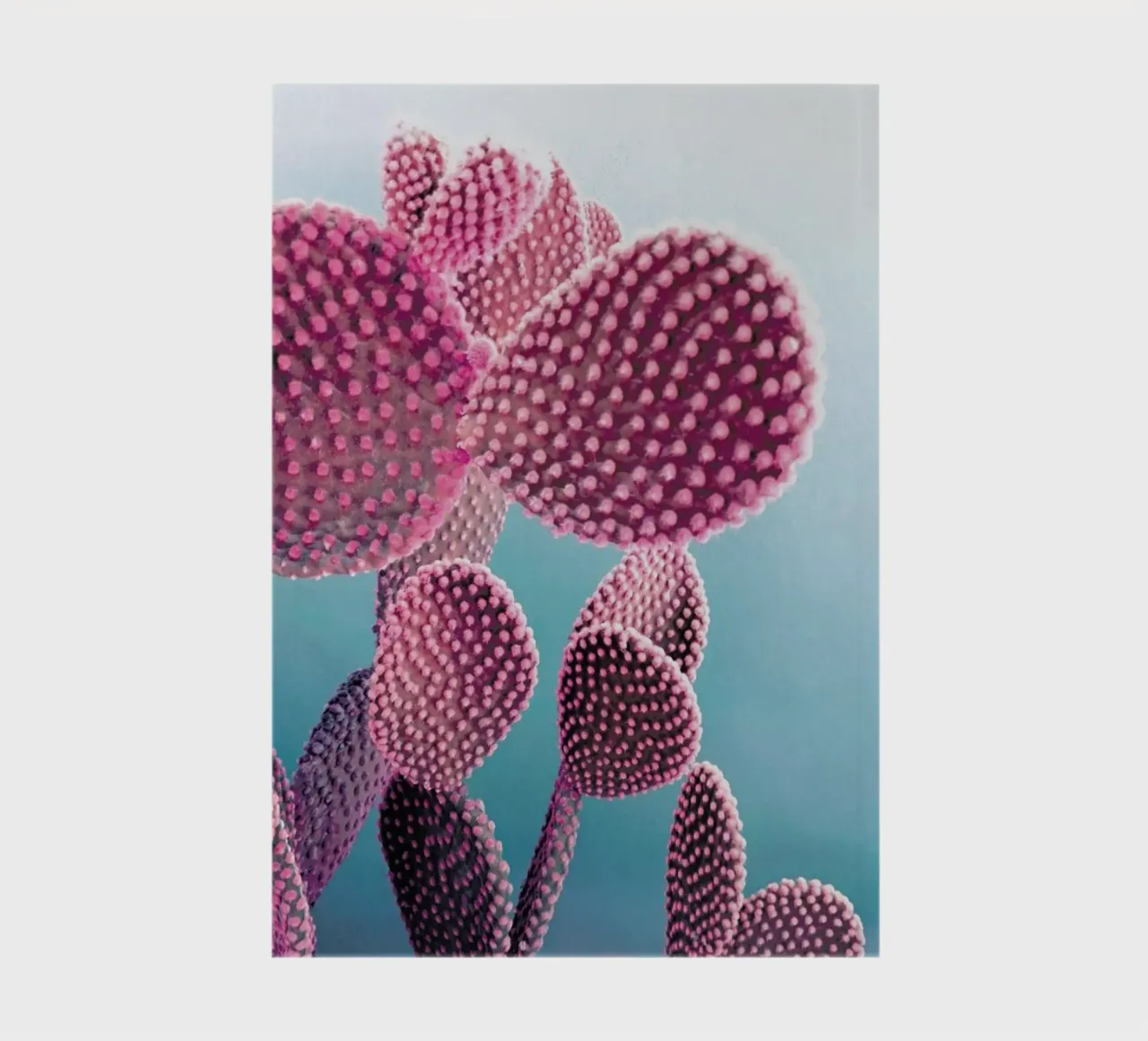 Cactus notebook by cafelab