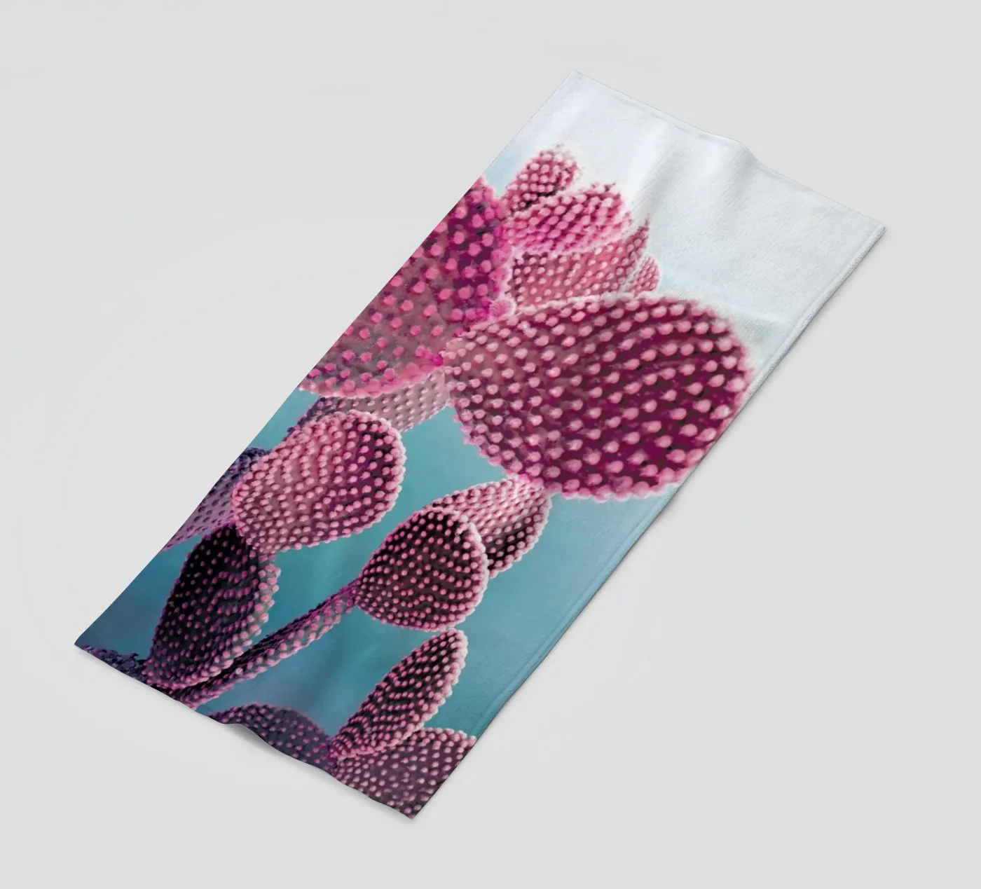 Cactus telo mare da cafelab