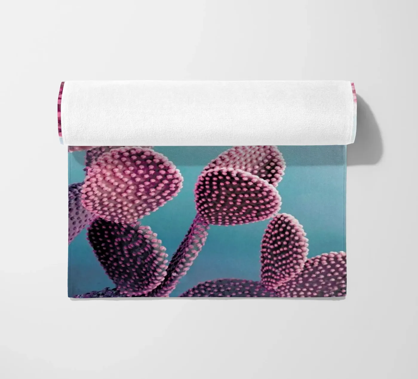 Cactus telo mare da cafelab