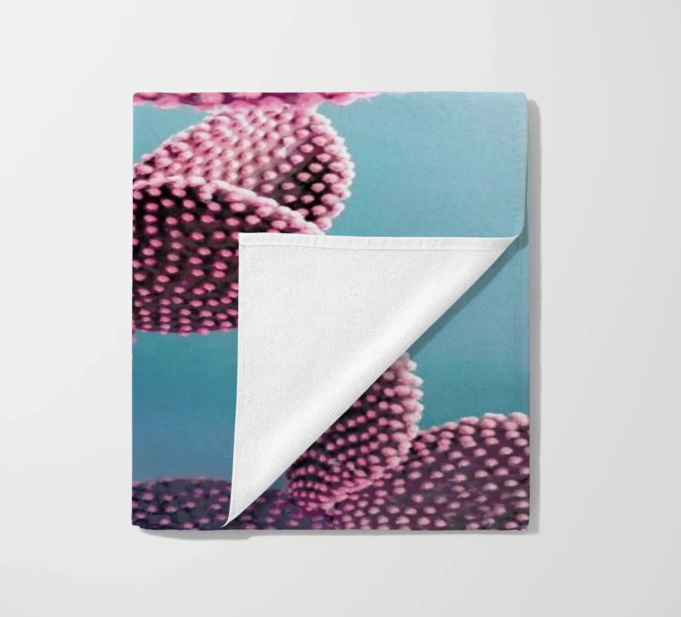 Cactus telo mare da cafelab