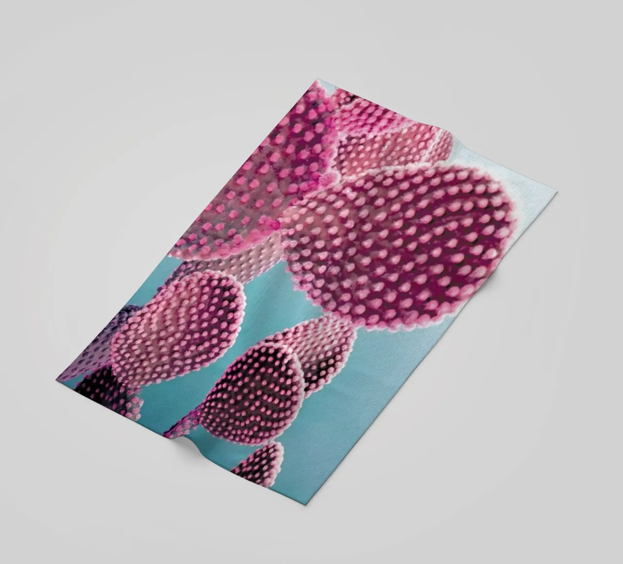 Cactus telo mare da cafelab