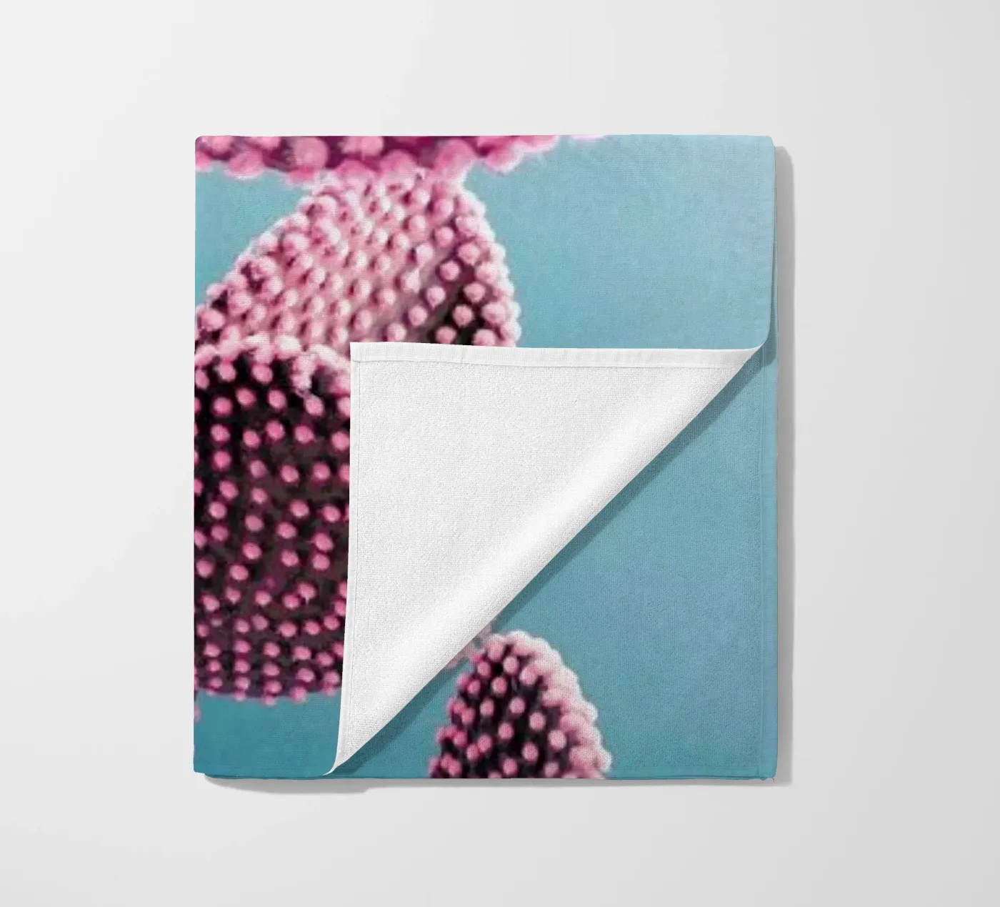 Cactus telo mare da cafelab