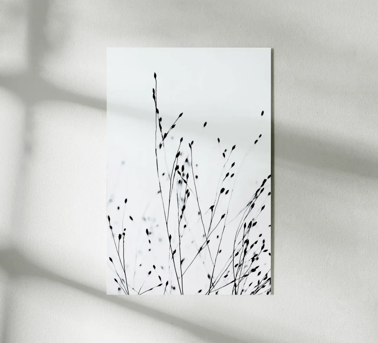 Black Grass plexiglass da Monika Strigel