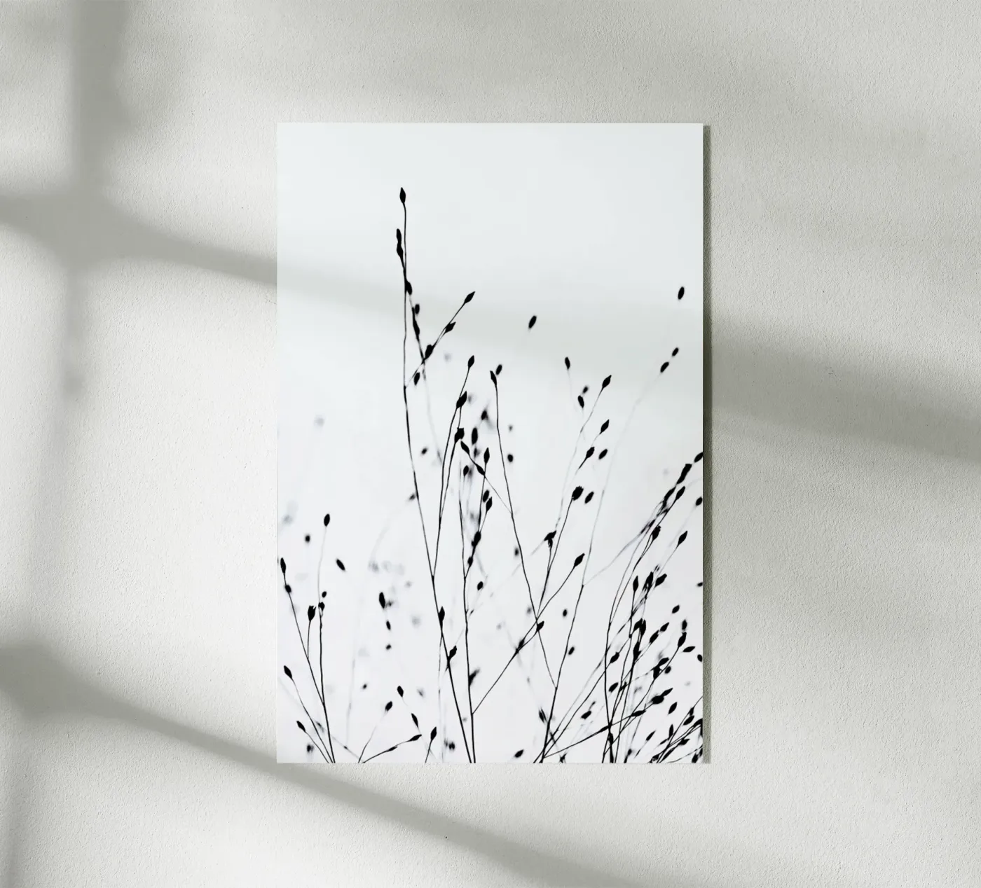 Black Grass plexiglass da Monika Strigel