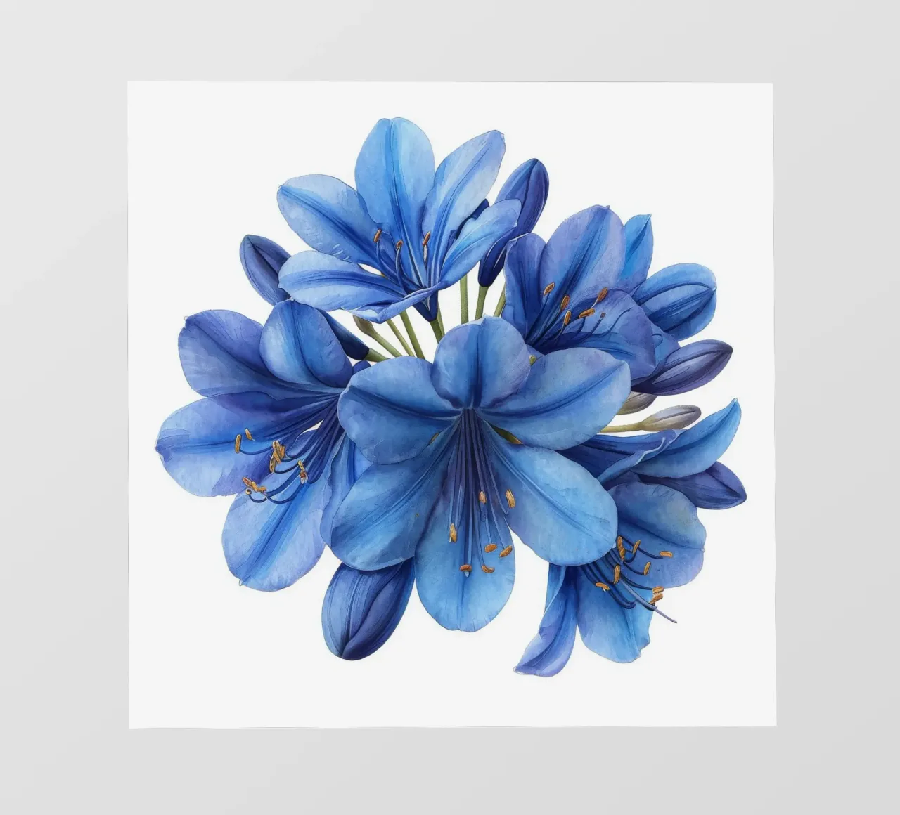Agapanthus Flower 2 pvc cover by Bold Blooms