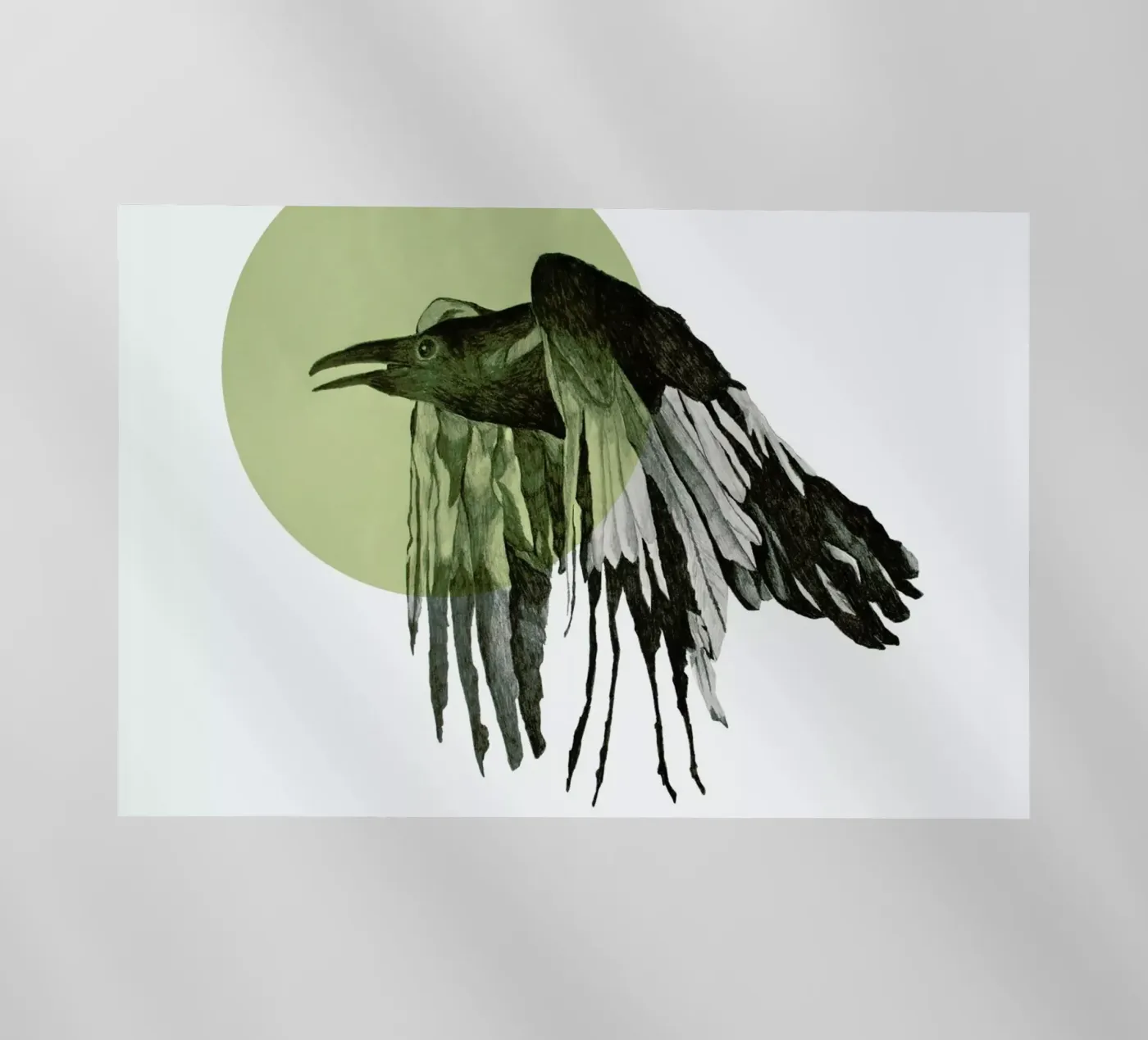 Raven pellicola backlit da Morgan Kendall