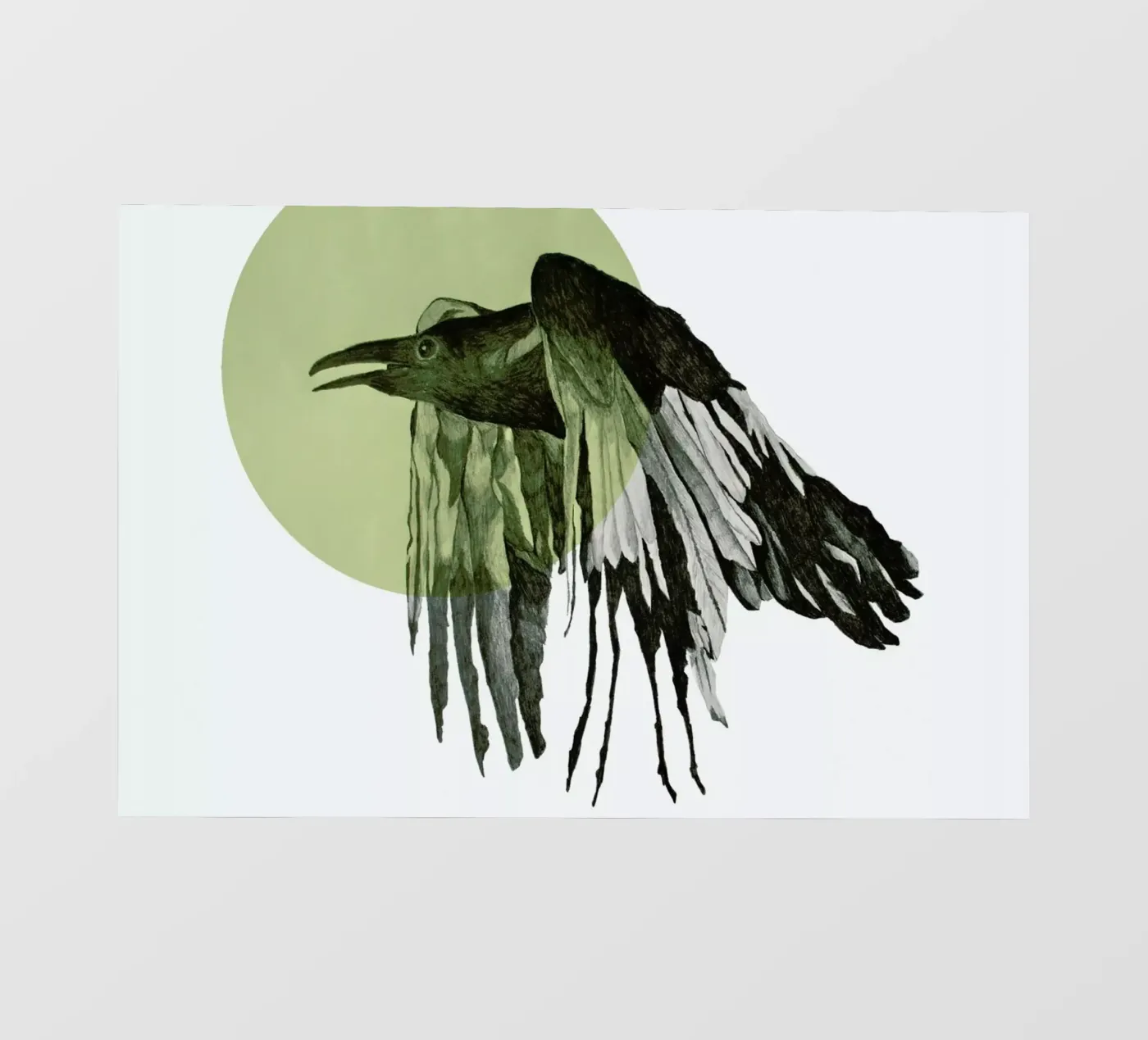 Raven pellicola backlit da Morgan Kendall