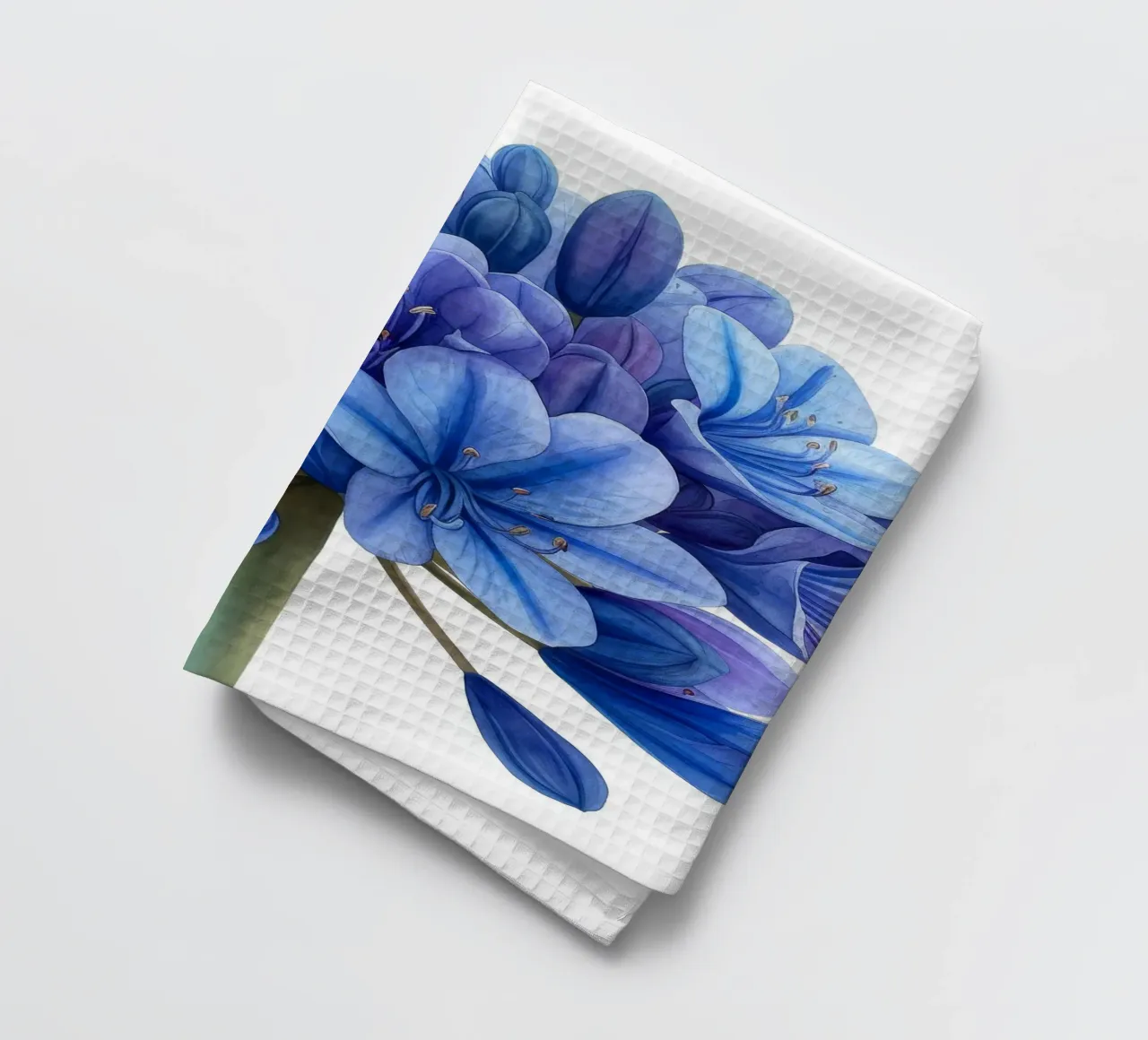 Fleur d'agapanthe 1 torchon de Bold Blooms