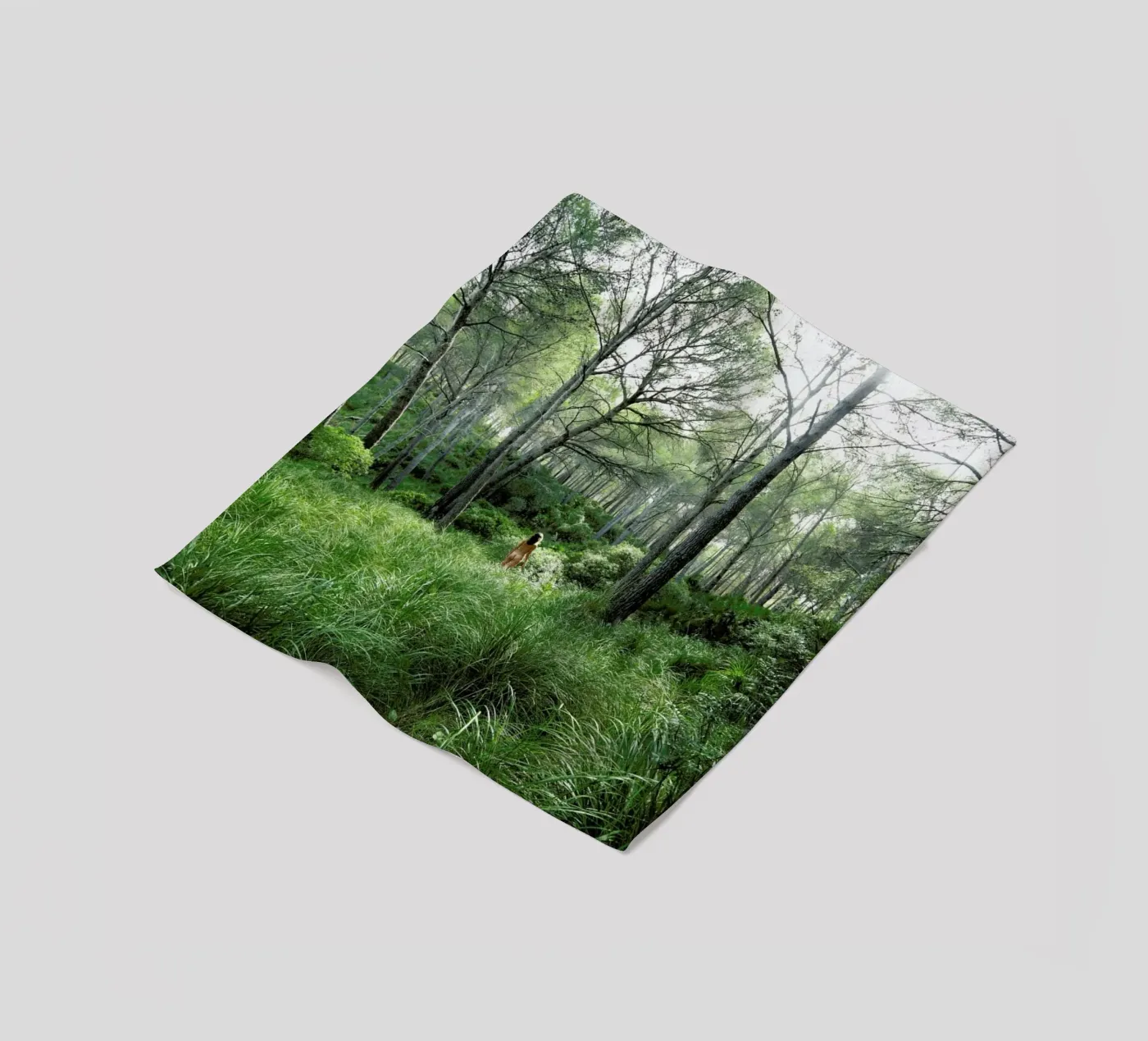 Concords Fleecedecke von Matevž Kosterov