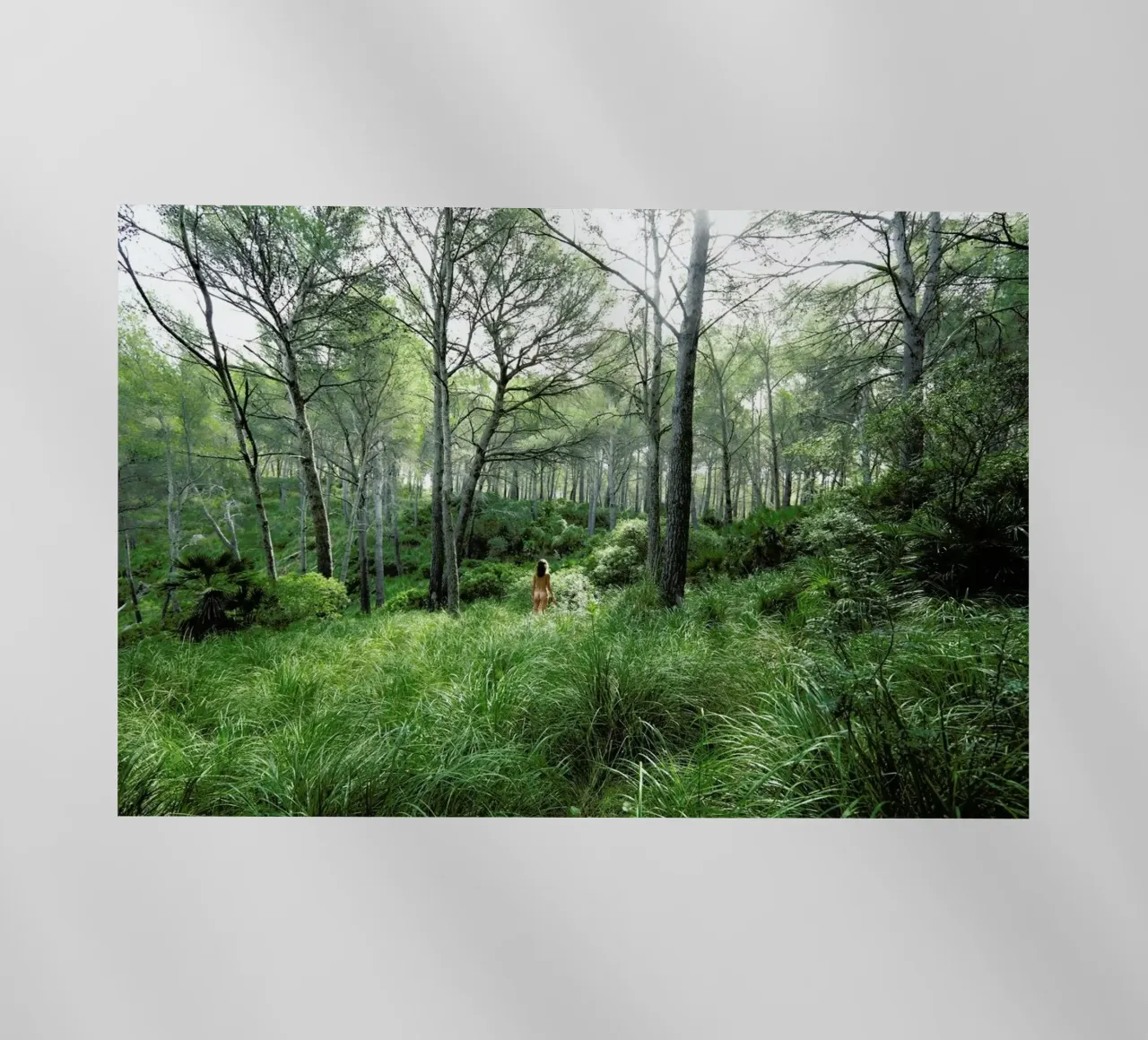 Concords pellicola backlit da Matevž Kosterov