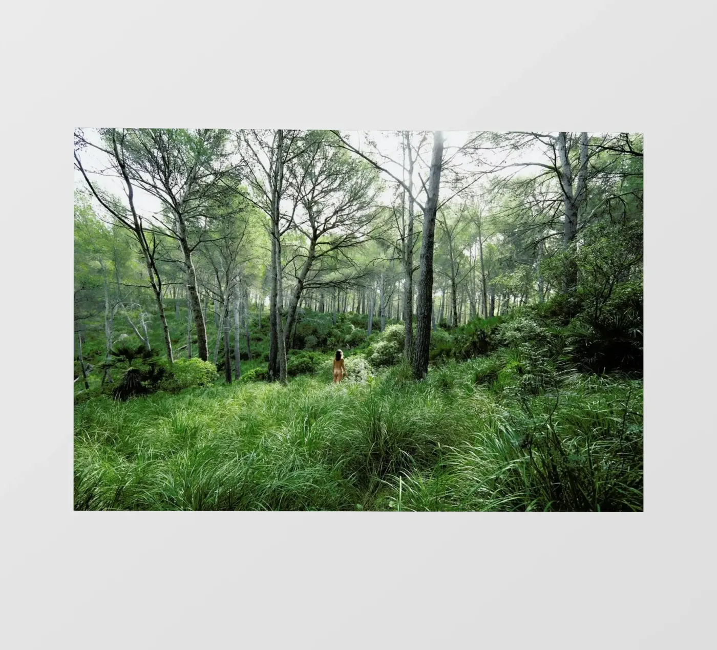 Concords pellicola backlit da Matevž Kosterov