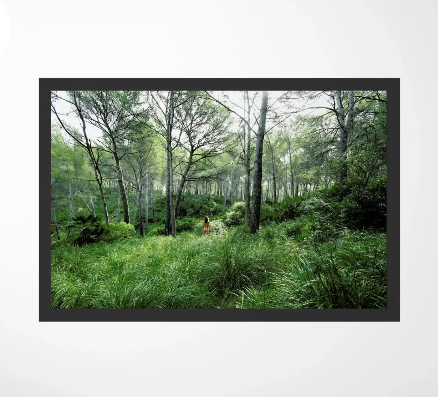 Concords Fußmatte von Matevž Kosterov