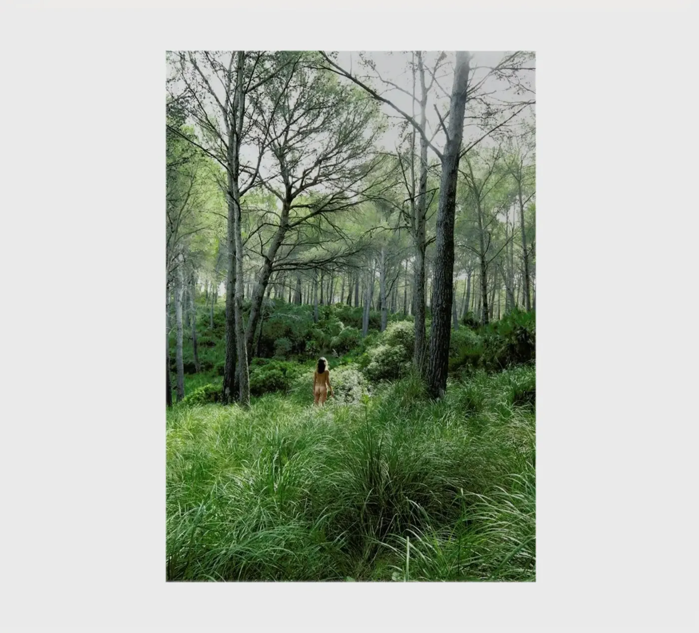 Concords notebook by Matevž Kosterov