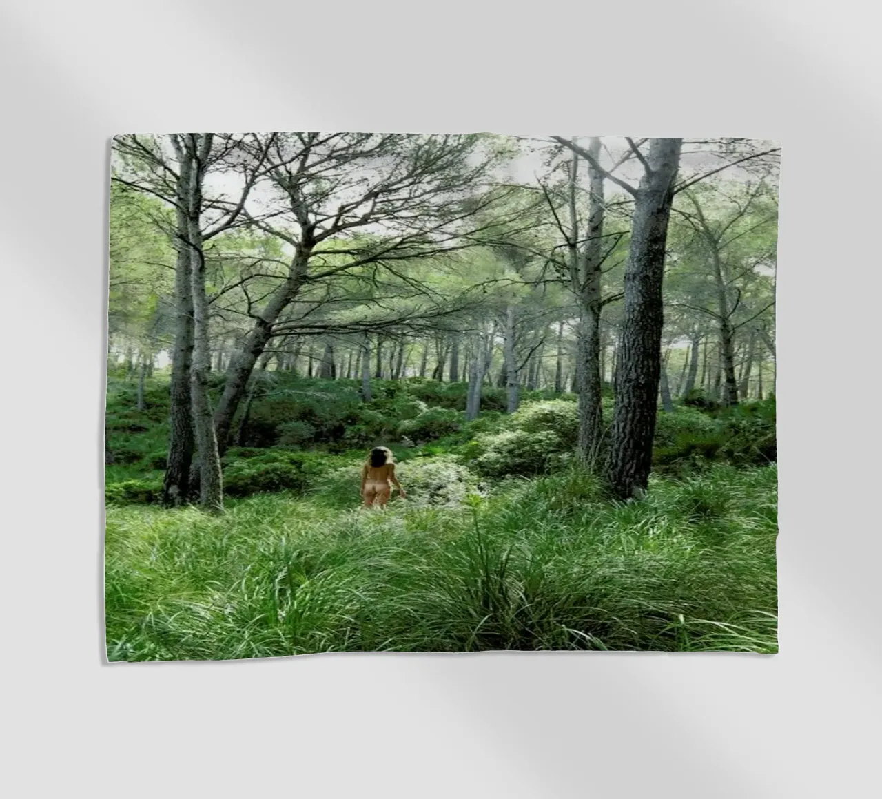 Concords telo mare da Matevž Kosterov