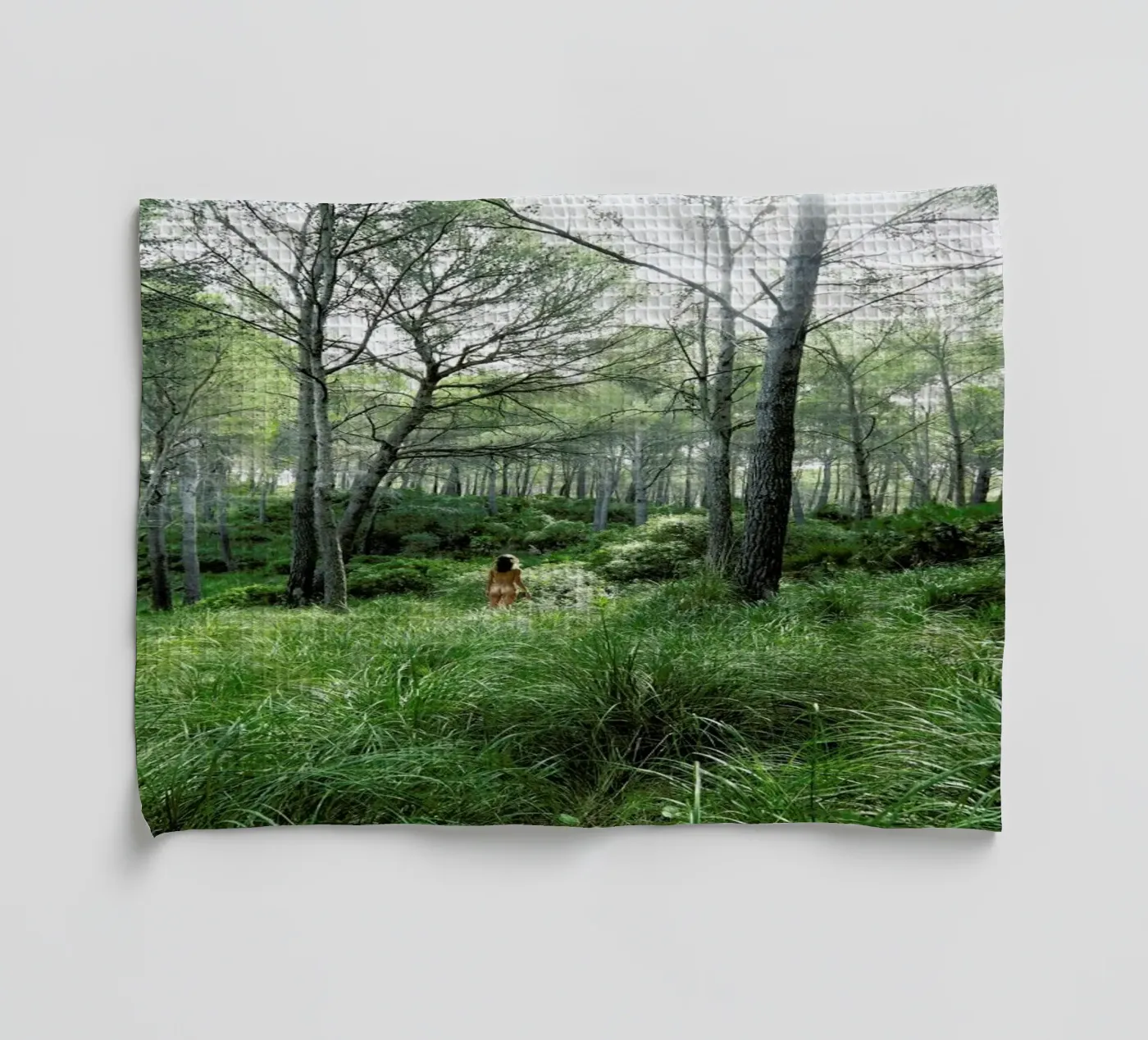 Concords Geschirrtuch von Matevž Kosterov