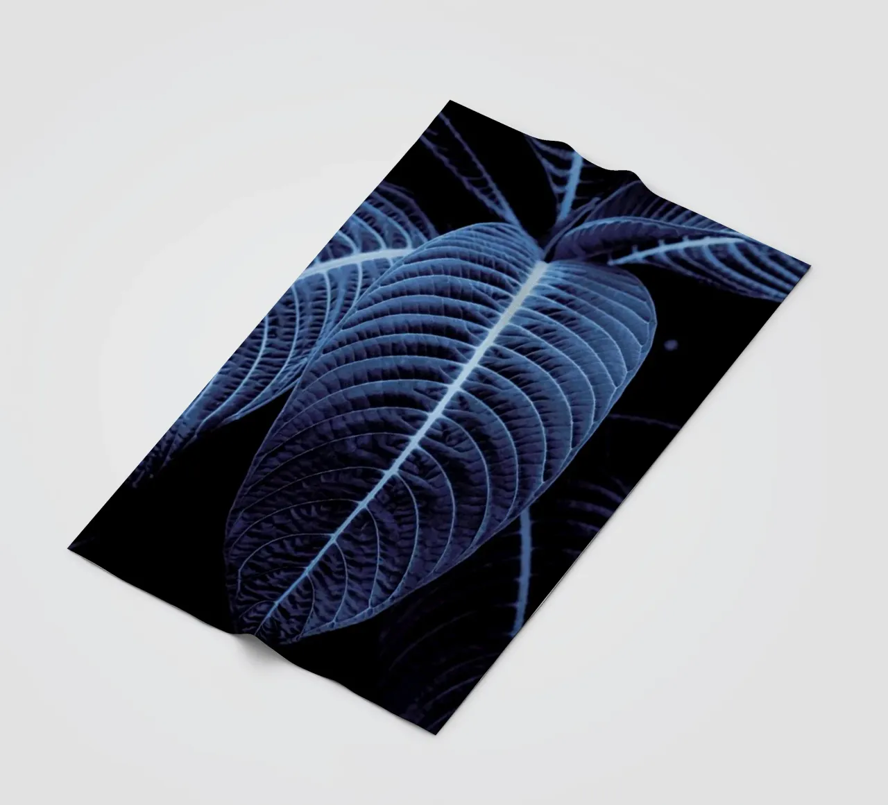 Leaf Me Alone 01 coperta in pile da Froilein Juno