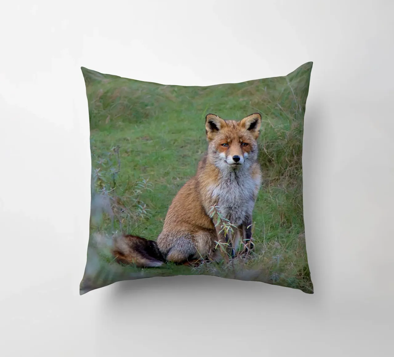 Ms. Fox cuscino da pilotpegasus