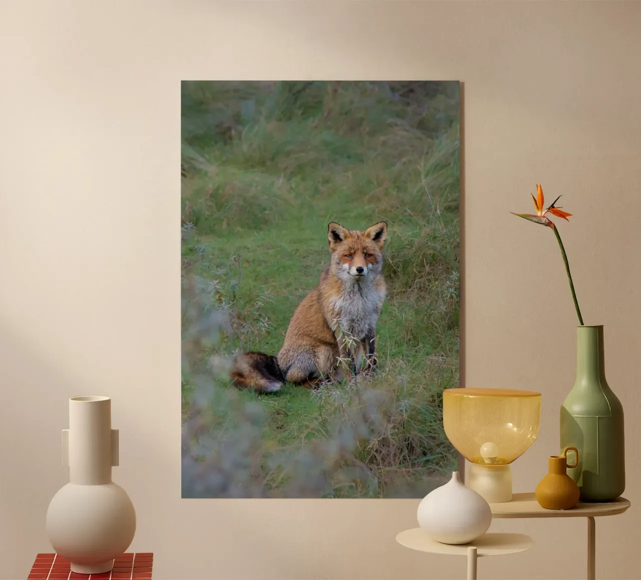 Ms. Fox plexiglass da pilotpegasus