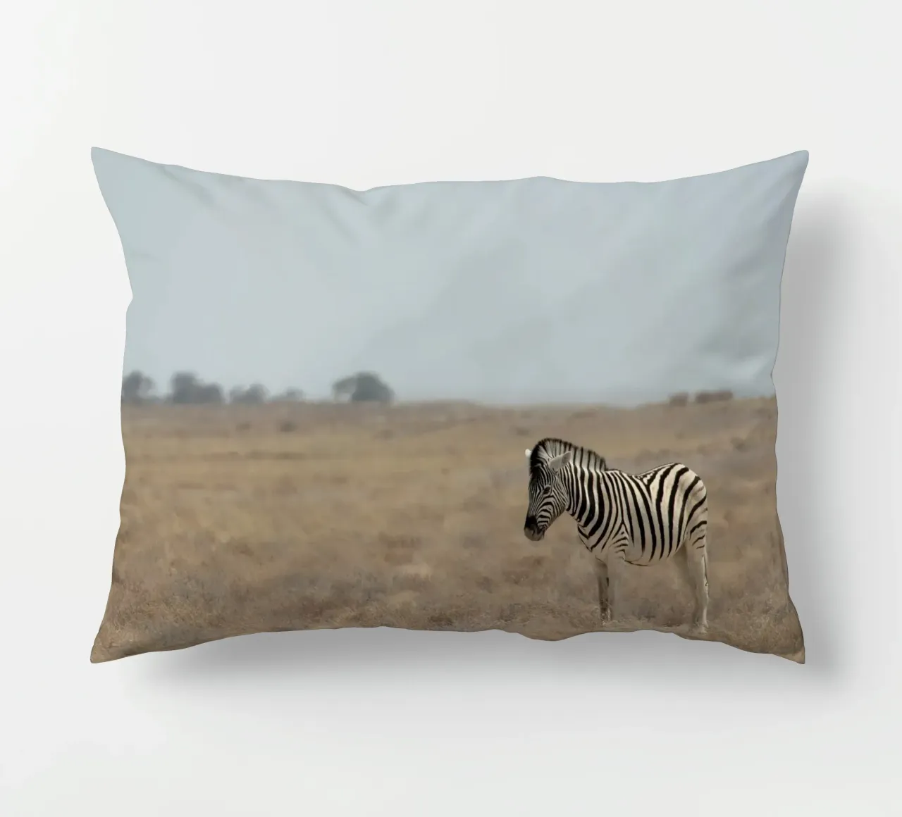 A Lone Zebra cuscino da pilotpegasus
