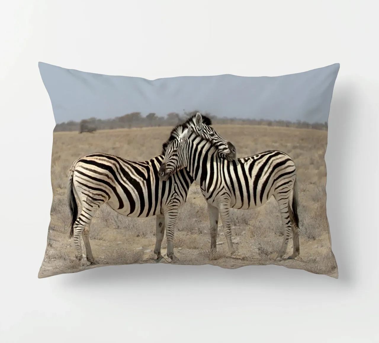 A Couple of Zebras cuscino da pilotpegasus