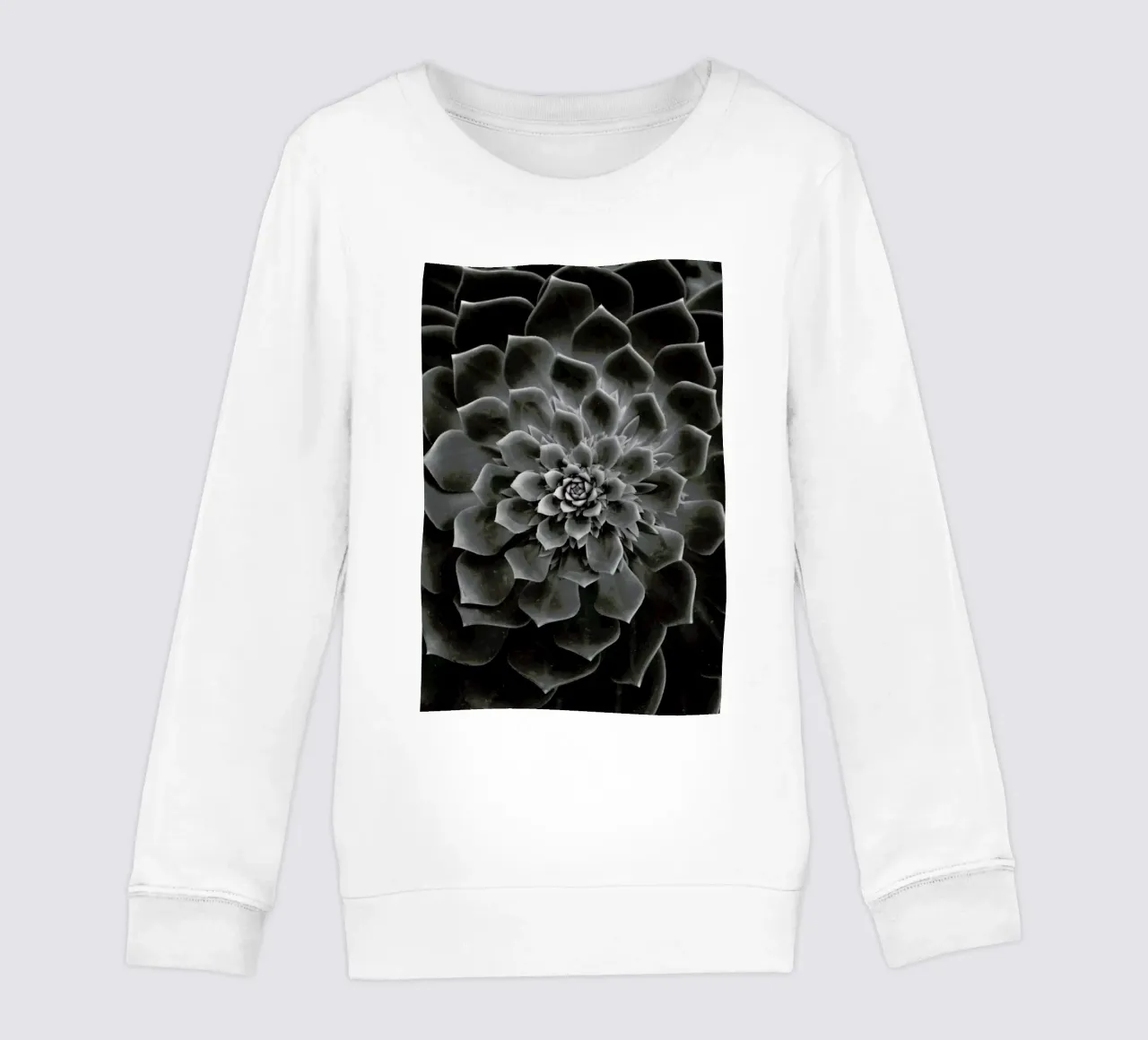 Succulent II felpa bambino da Victoria Frost