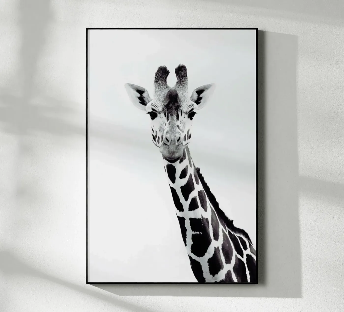 Giraffe plexiglass da Monika Strigel