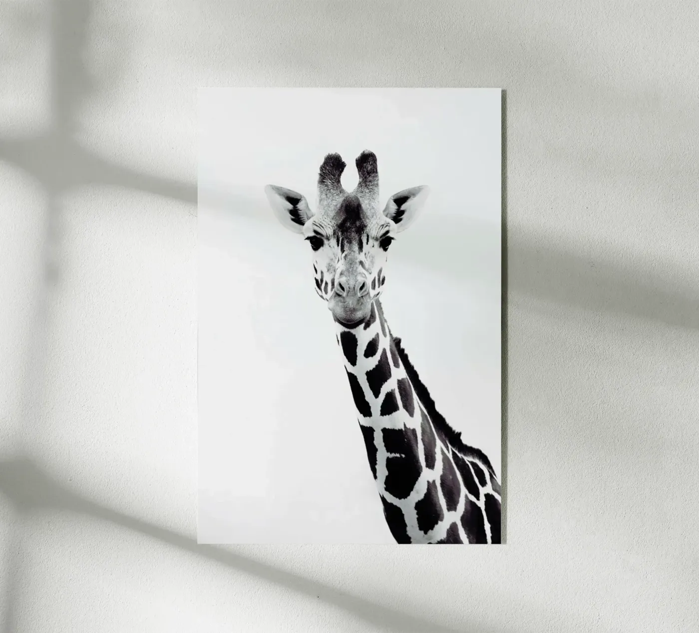 Giraffe plexiglass da Monika Strigel