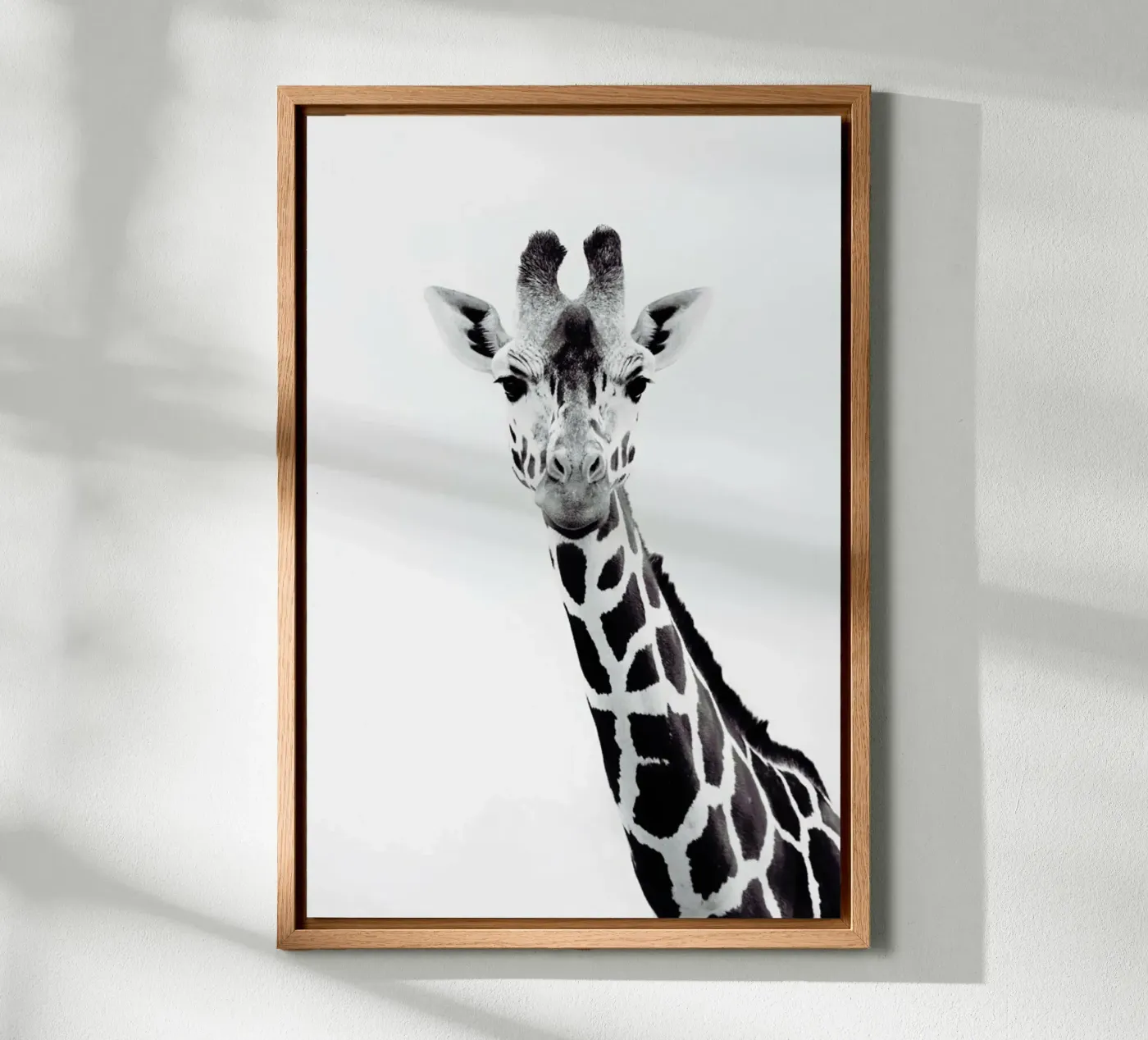 Giraffe pannello forex da Monika Strigel