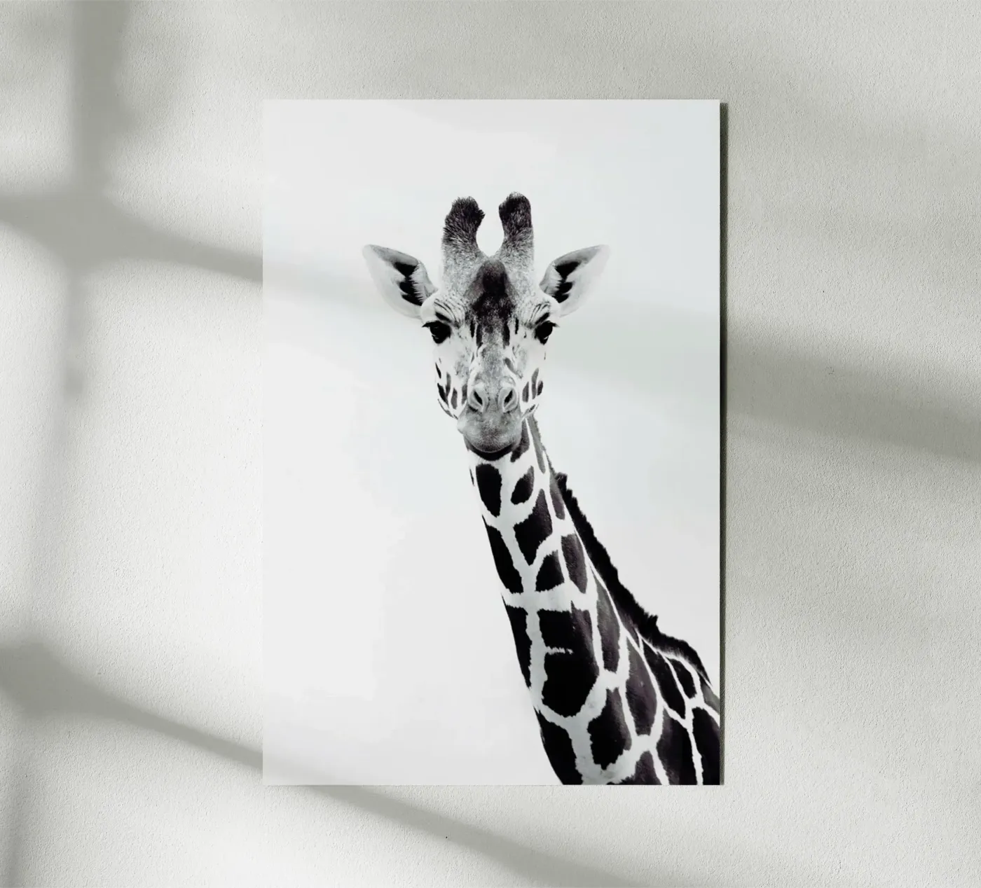 Giraffe pannello forex da Monika Strigel