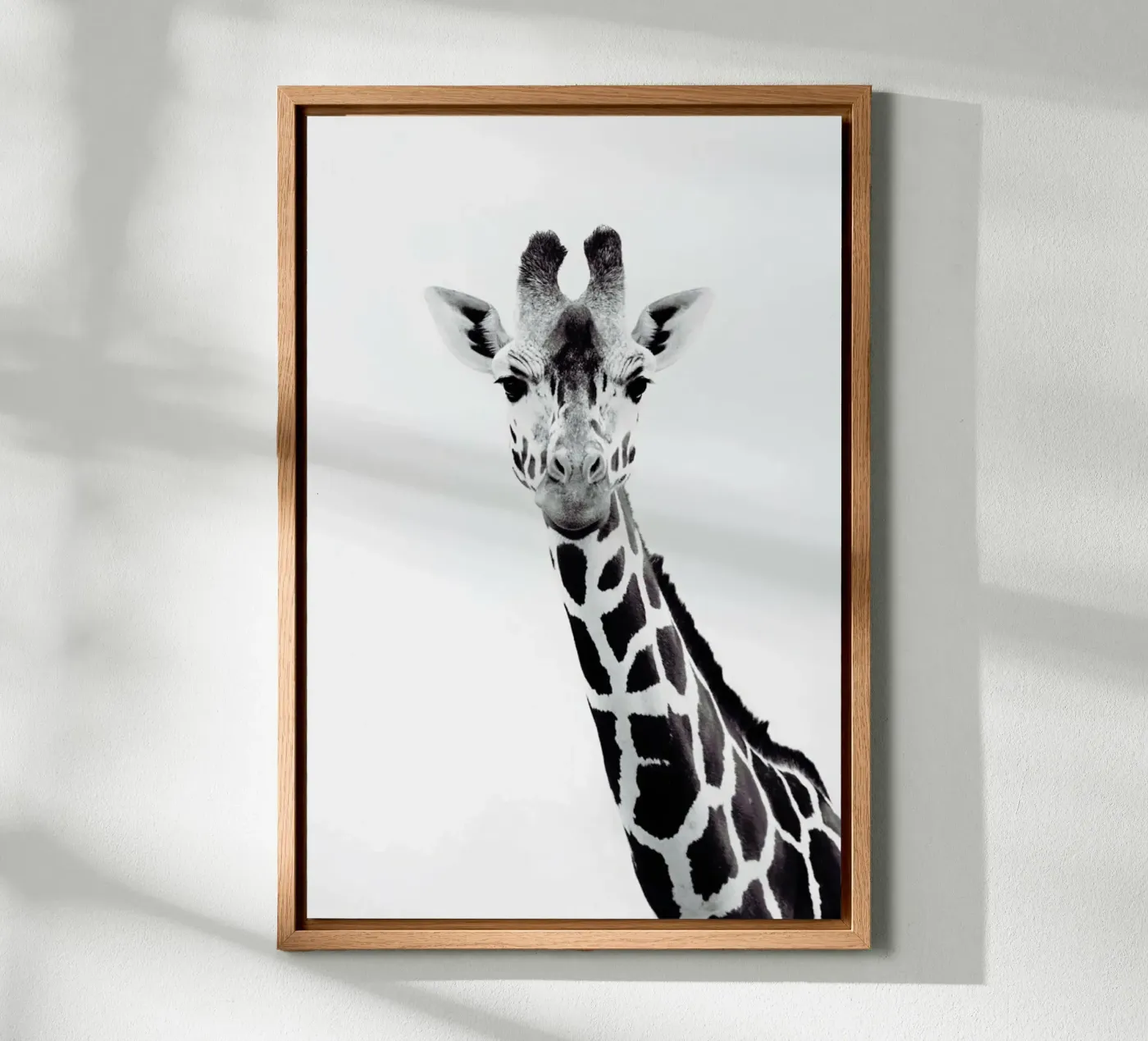 Giraffe tela da Monika Strigel