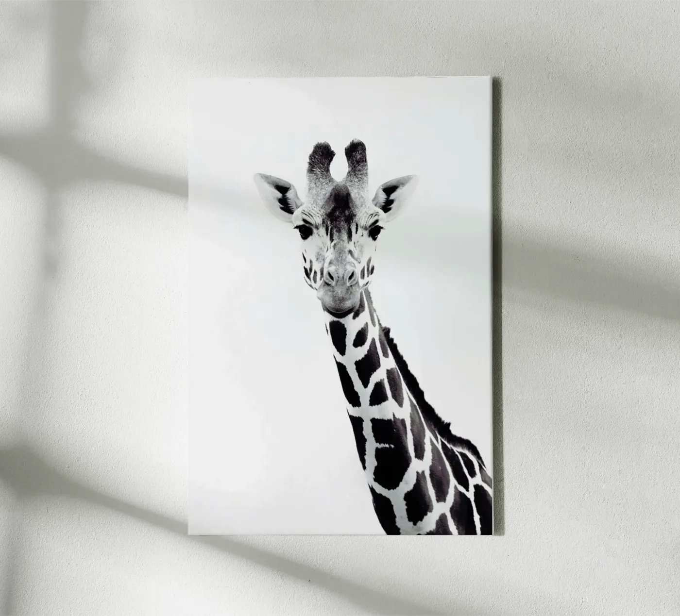 Giraffe tela da Monika Strigel