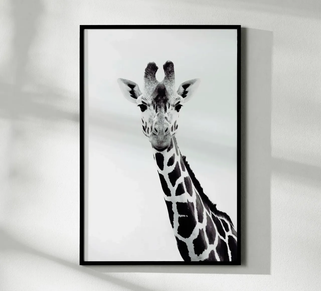 Giraffe poster con telaio in alluminio da Monika Strigel