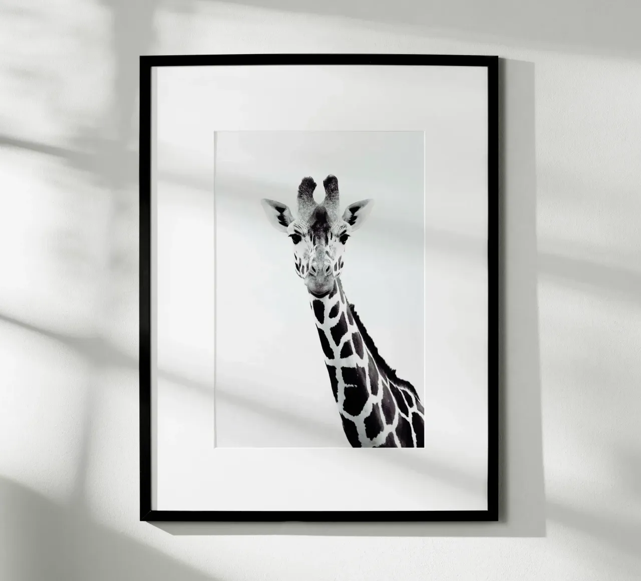 Giraffe poster con telaio in alluminio da Monika Strigel