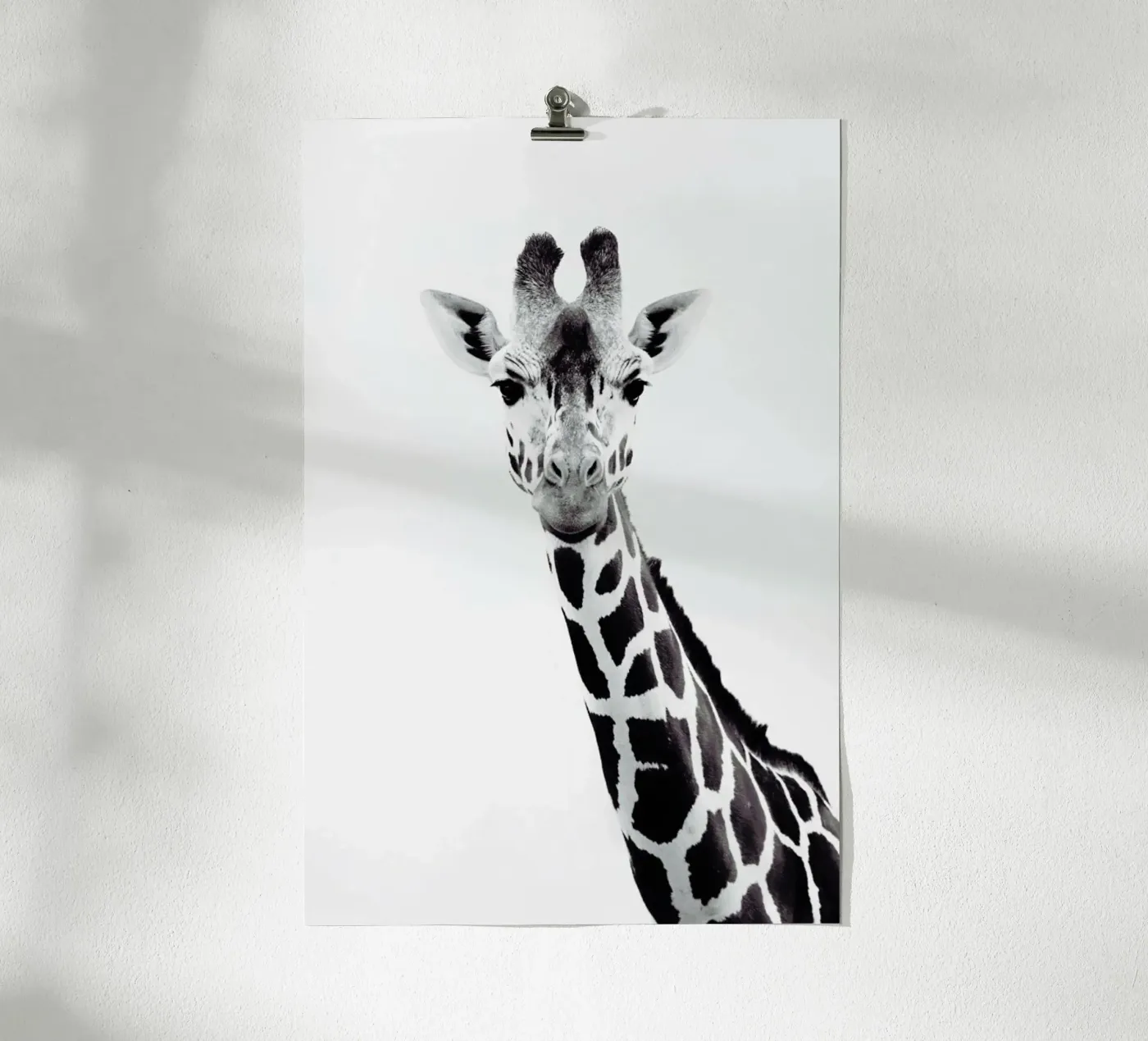 Giraffe poster by Monika Strigel
