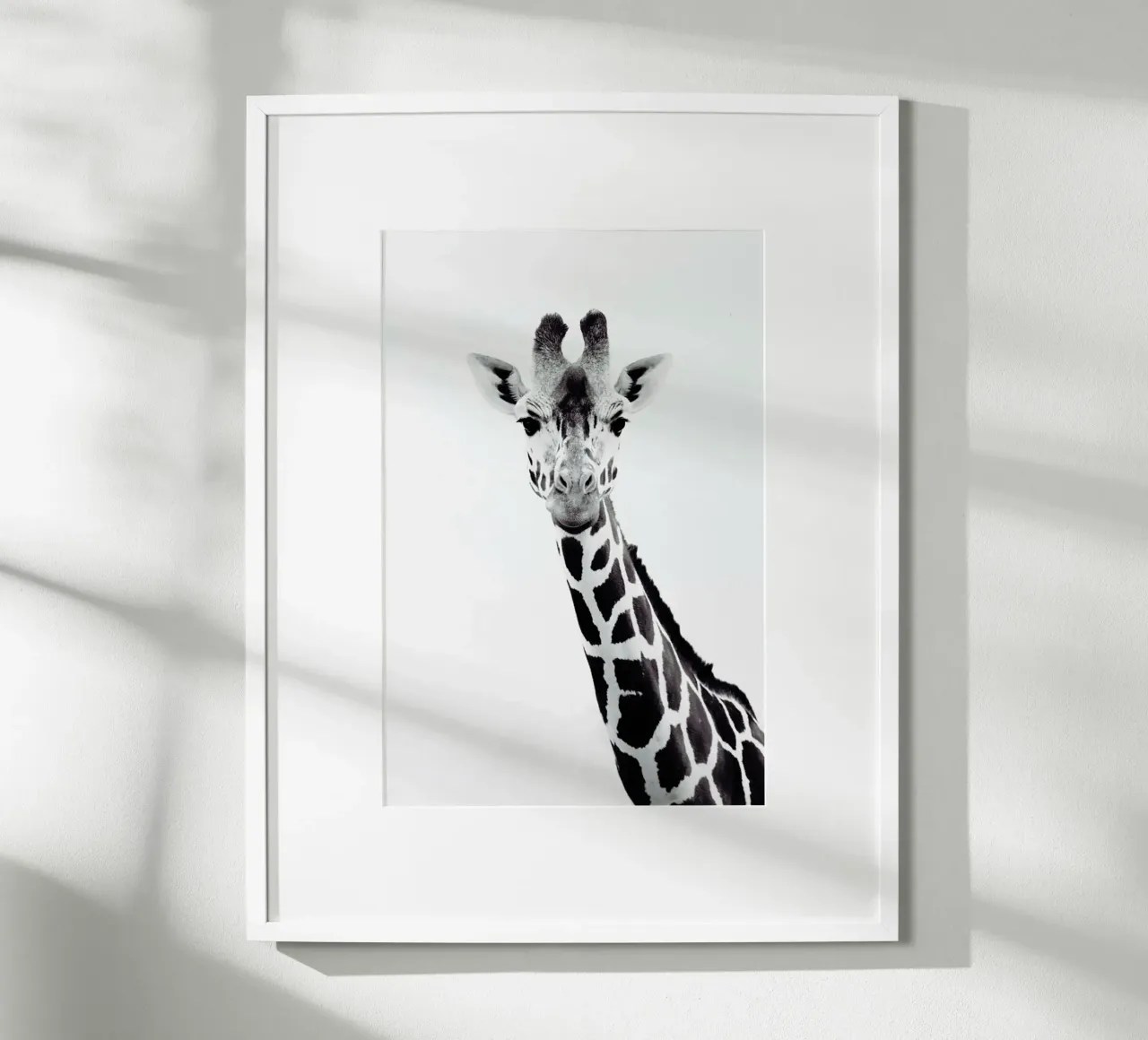 Giraffe poster con telaio in alluminio da Monika Strigel