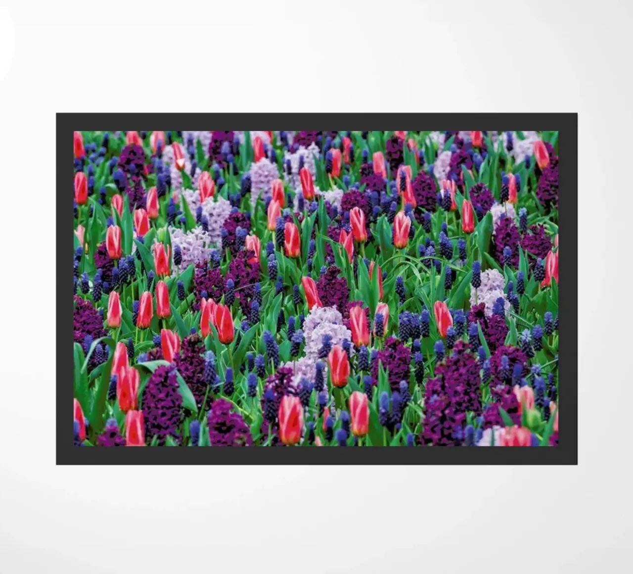 Tulip Field Purple zerbino da Curious Collections by Marielle Leenders